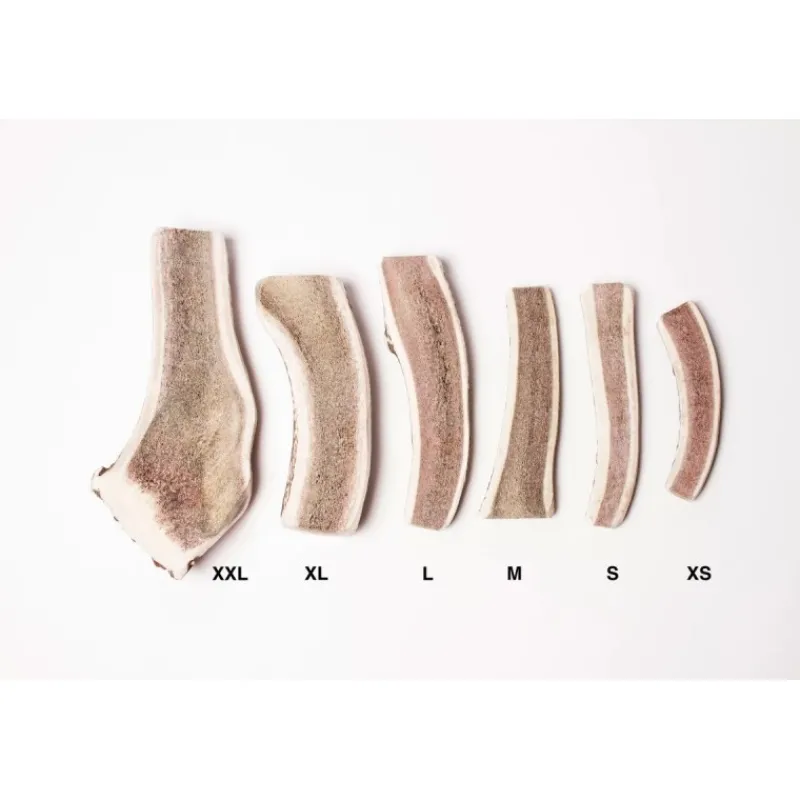 bois_de_cerf__macher__evi_0.webp Animaux-market Bois de Cerf à macher - Evident Discount