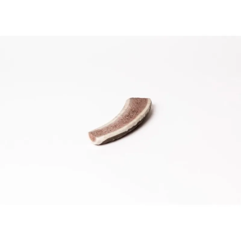 bois_de_cerf__macher__evi_1.webp Animaux-market Bois de Cerf à macher - Evident Discount