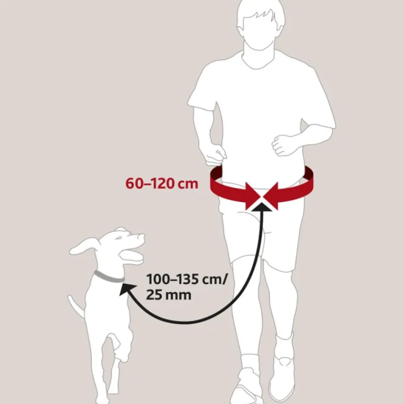ceinture_ventrale_avec_la_2.webp TRIXIE Ceinture ventrale avec laisse Sale