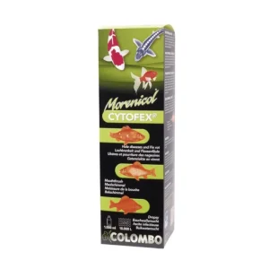 COLOMBO Morenicol Cytofex infections bactériennes Fashion