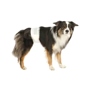 TRIXIE Couches pour chien Mâle Discount