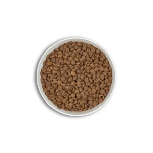 ERA Croquettes Centurion Natural CHAT Adulte - Hypoallergénique New