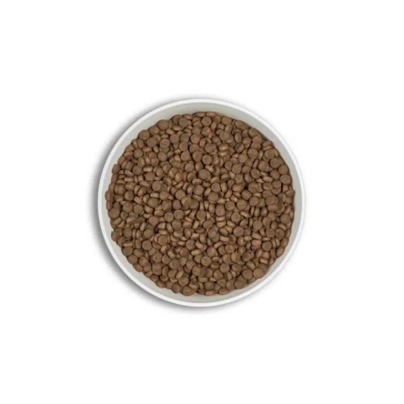 croquettes_era_millnium_a_1-2.webp ERA Croquettes Millénium ADULTES Petites Races – Saumon & Hareng Sale