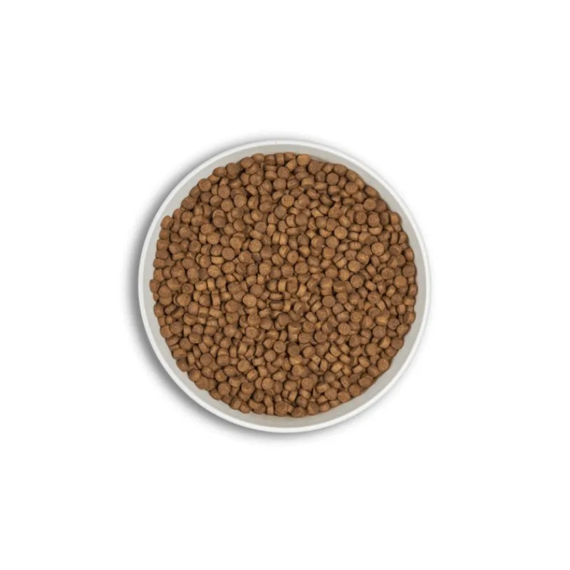 croquettes_era_millnium_a_1.webp ERA Croquettes Millénium ADULTES Petites Races – Poulet & Faisan Hot