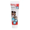 BEAPHAR Dentifrice haleine fraîche pour chien & chat  – Hot