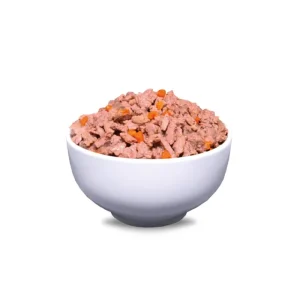 ERA Filets en gelée Sybarite pour Chats Adultes – Truite & Poulet Best