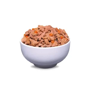 ERA Filets en gelée Sybarite pour Chats Adultes – Canard & Poulet Best