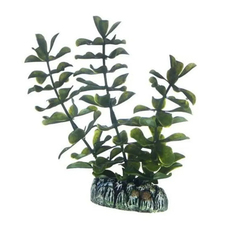 hobby_bacopa_0.webp HOBBY Bacopa Best