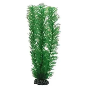 HOBBY Egeria Hot