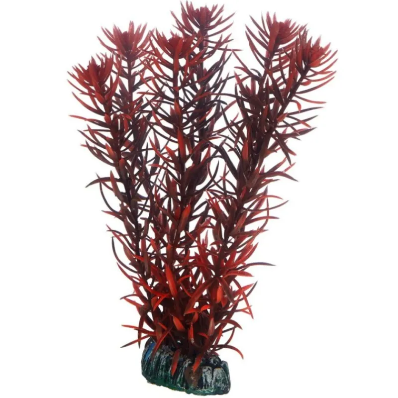 hobby_eusteralis_0.webp HOBBY Eusteralis Outlet
