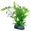 HOBBY Hygrophila New