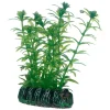 HOBBY Lagarosiphon Fashion