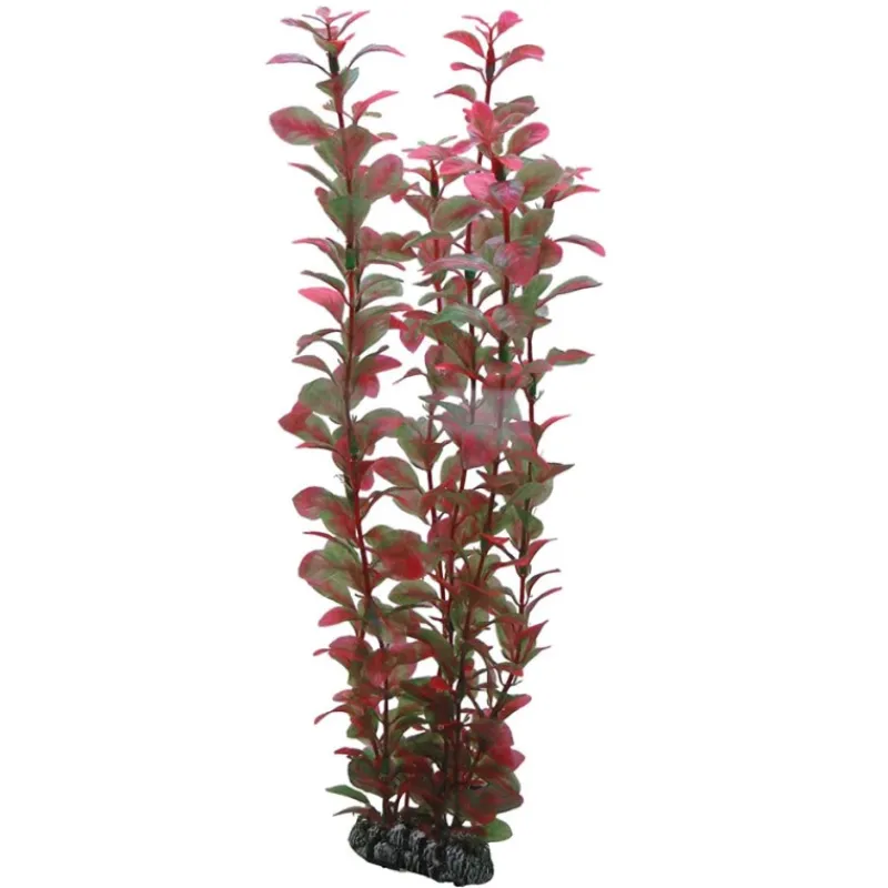 hobby_ludwigia_0.webp HOBBY Ludwigia Sale