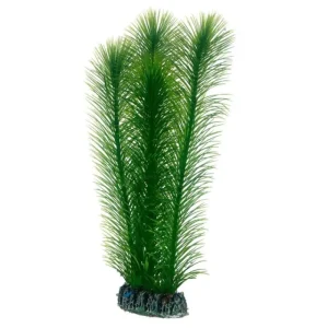 HOBBY Mayaca Clearance