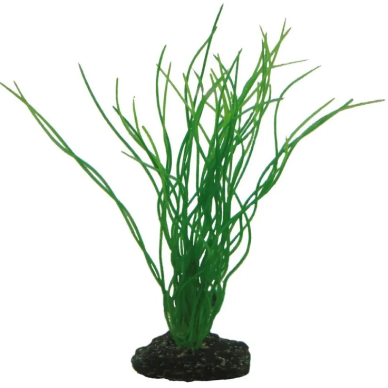 hobby_sagittaria_0.webp HOBBY Sagittaria Outlet