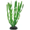 HOBBY Vallisneria Sale