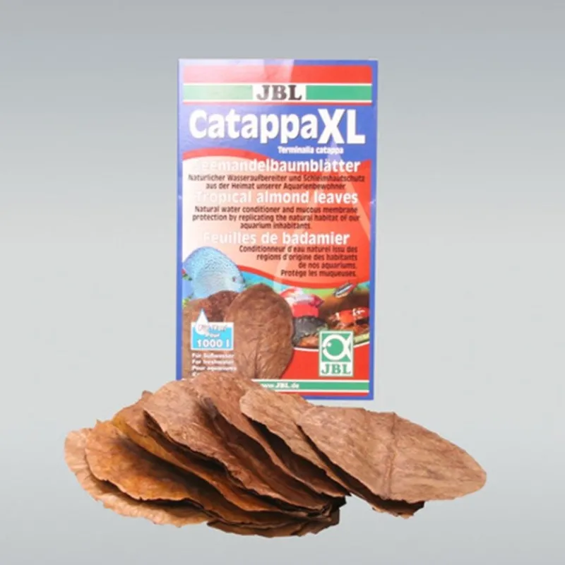 jbl_catappa_xl_1.webp JBL Catappa XL Hot