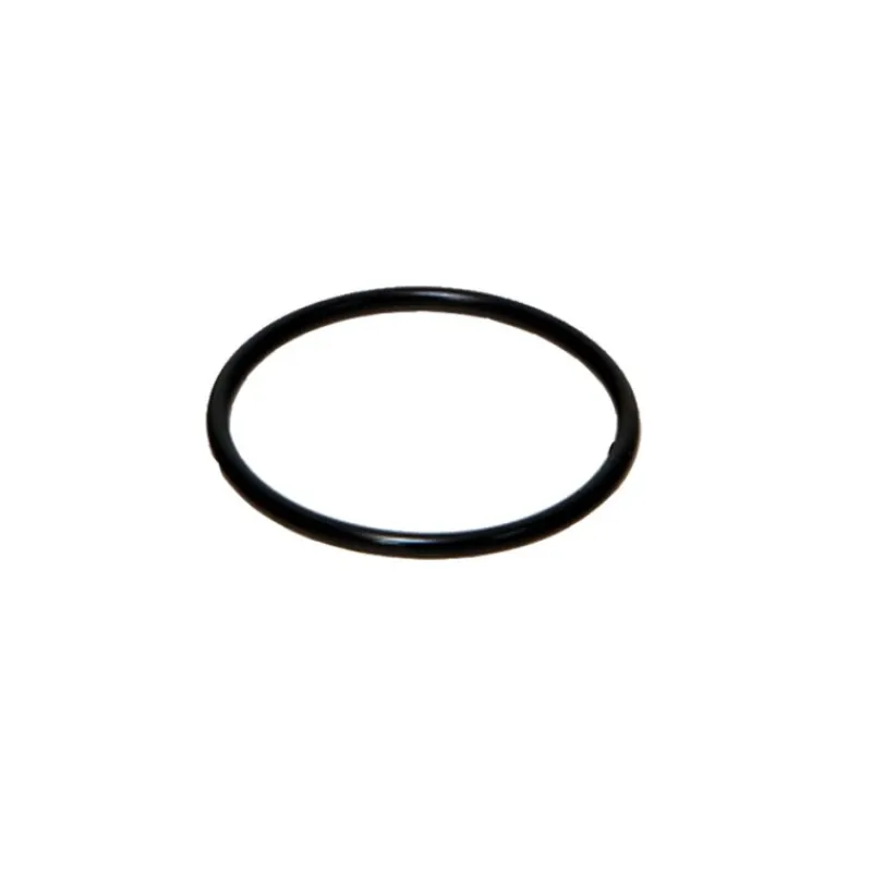 jbl_joint_pour_couvercle__0-1.webp JBL Joint pour couvercle du rotor (6013000) Sale