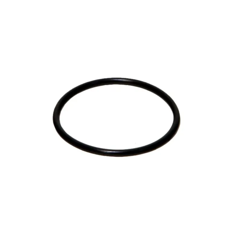 jbl_joint_pour_couvercle__0.webp JBL Joint pour couvercle du rotor (6013100) Best