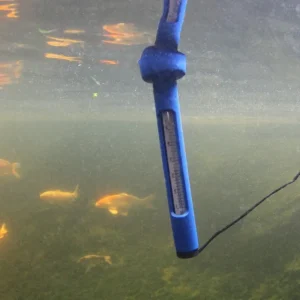 JBL Pond Thermomètre Best