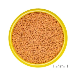 JBL ProNovo Betta - Grano S - 100 ml New