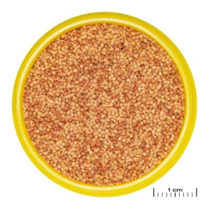 JBL Pronovo Color Grano S - 100 ml Discount