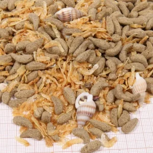 JBL ProTerra Molluscus Fashion