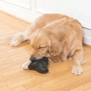 PETSAFE Jouet à mâcher Squeak'n'Treat Clearance