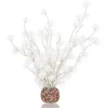 OASE Biorb boule de bonsai Sale