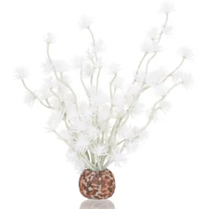 OASE Biorb boule de bonsai Sale