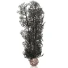 OASE Biorb Corail noir Fashion