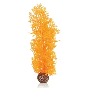 OASE Biorb Corail orange Online