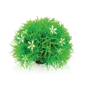 OASE Biorb plante boule Fashion