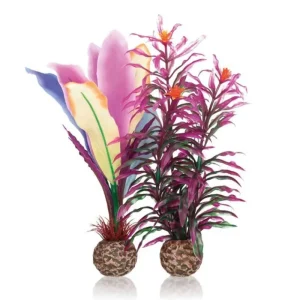 OASE Biorb Plumes de Perroquet Discount