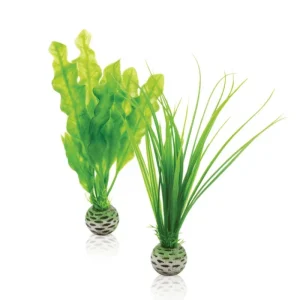 OASE Biorb Set plantes vertes Fashion