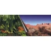EUROPET Poster pour aquarium 80 cm Best