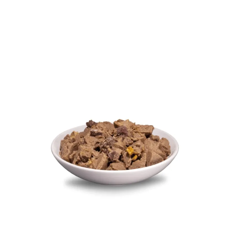 pte_era_sybarite_pour_chi_2-1.webp ERA Pâtée Sybarite pour chien adulte - Dinde & Agneau Outlet