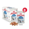 ROYAL CANIN - Indoor Sterilised Gelée - 12X85G Discount