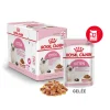 ROYAL CANIN KITTEN  gelée 12x85Gr Discount