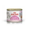 ROYAL CANIN MOTHER & BABYCAT mousse -195g Discount