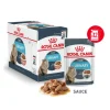 ROYAL CANIN Urinary Care en sauce - 12x5Gr Hot