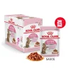 ROYAL CANIN -KITTEN STERILISED - en sauce -12x85gr Outlet