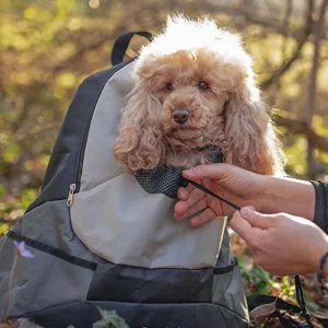FERPLAST Sac à dos Kangoo pour chien New