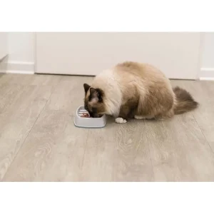 TRIXIE Slow Feeding gamelle TPR - Fashion