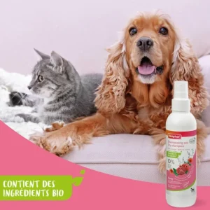 BEAPHAR Spray shampoing sec à l'Aloé Vera pour chien et chat - Clearance