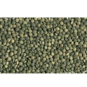 TETRA Pleco Tablets Hot